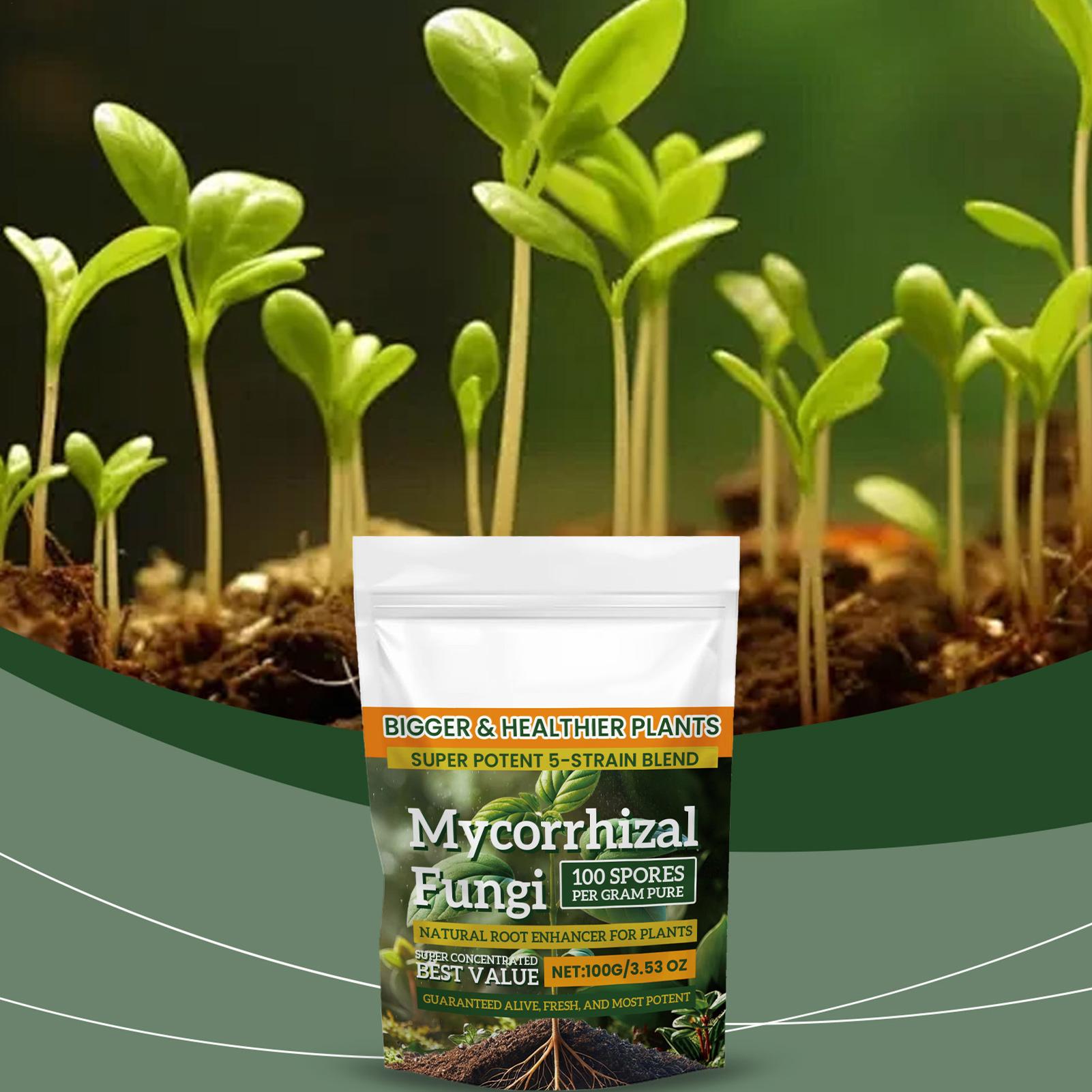 Roots Nutrition & Fitness Inglewood Photos - Polvo potenciador de raíces, nutrición natural,