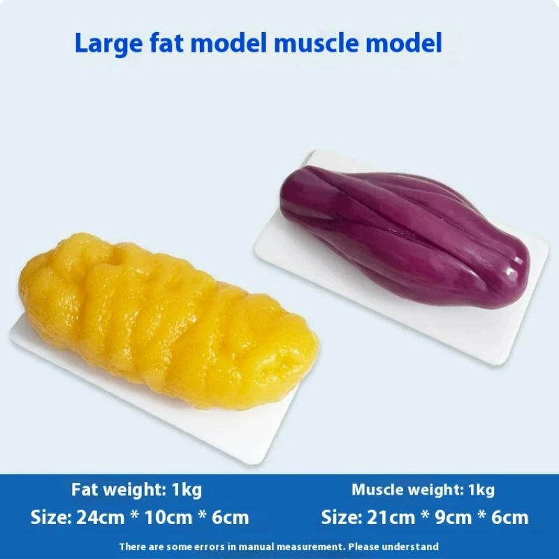 Réplicas de Músculo y Grasa Hu - Fitness With Nutrition reseña y precio