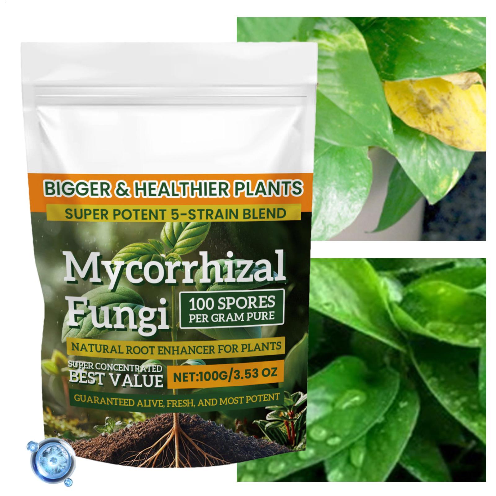 Polvo potenciador de raíces, n - Roots Nutrition & Fitness Inglewood Photos reseña y precio