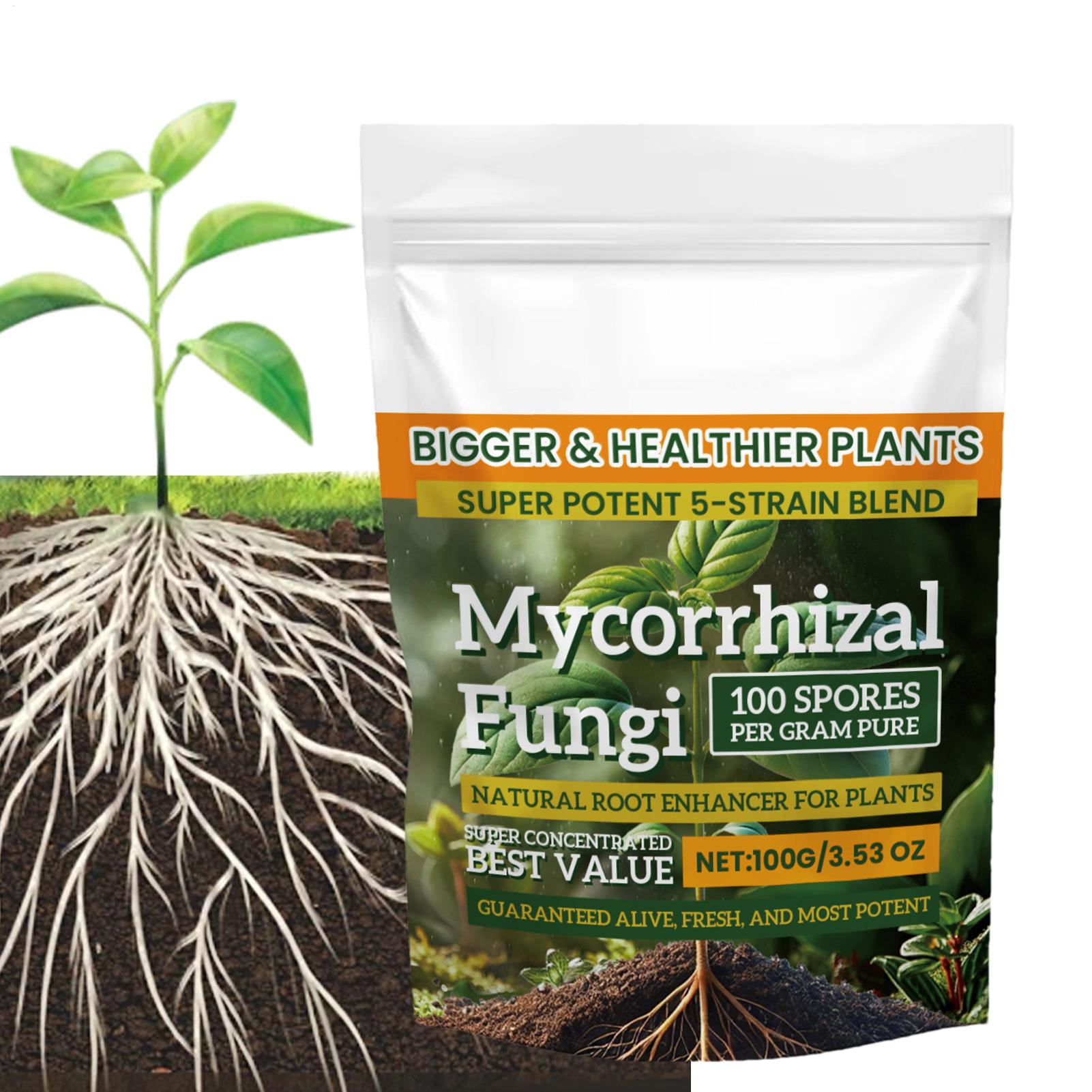 Polvo potenciador de raíces, n - Roots Nutrition & Fitness Inglewood Photos reseña y precio